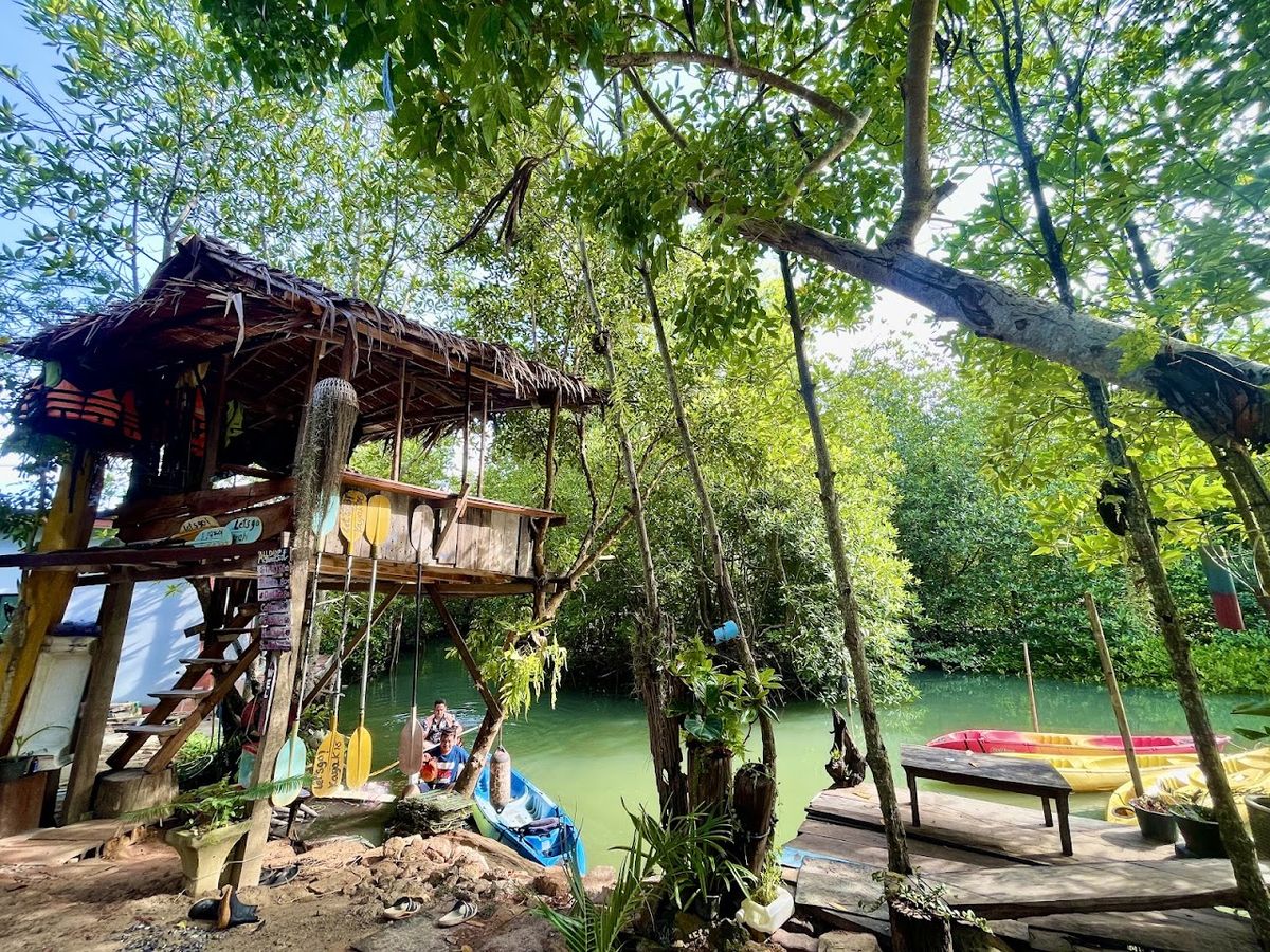 Absolute kayaking mangrove krabi @ aonang photo 4
