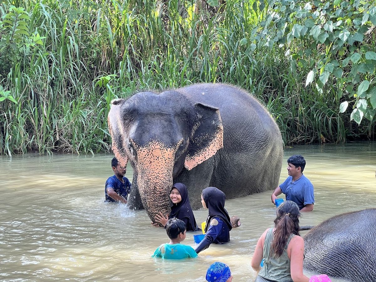 Ao Nang Elephant Sanctuary Krabi (Booking is needed) photo 2