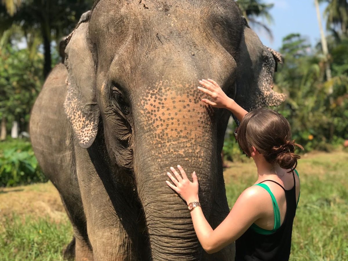 Ao Nang Elephant Sanctuary Krabi (Booking is needed), Krabi