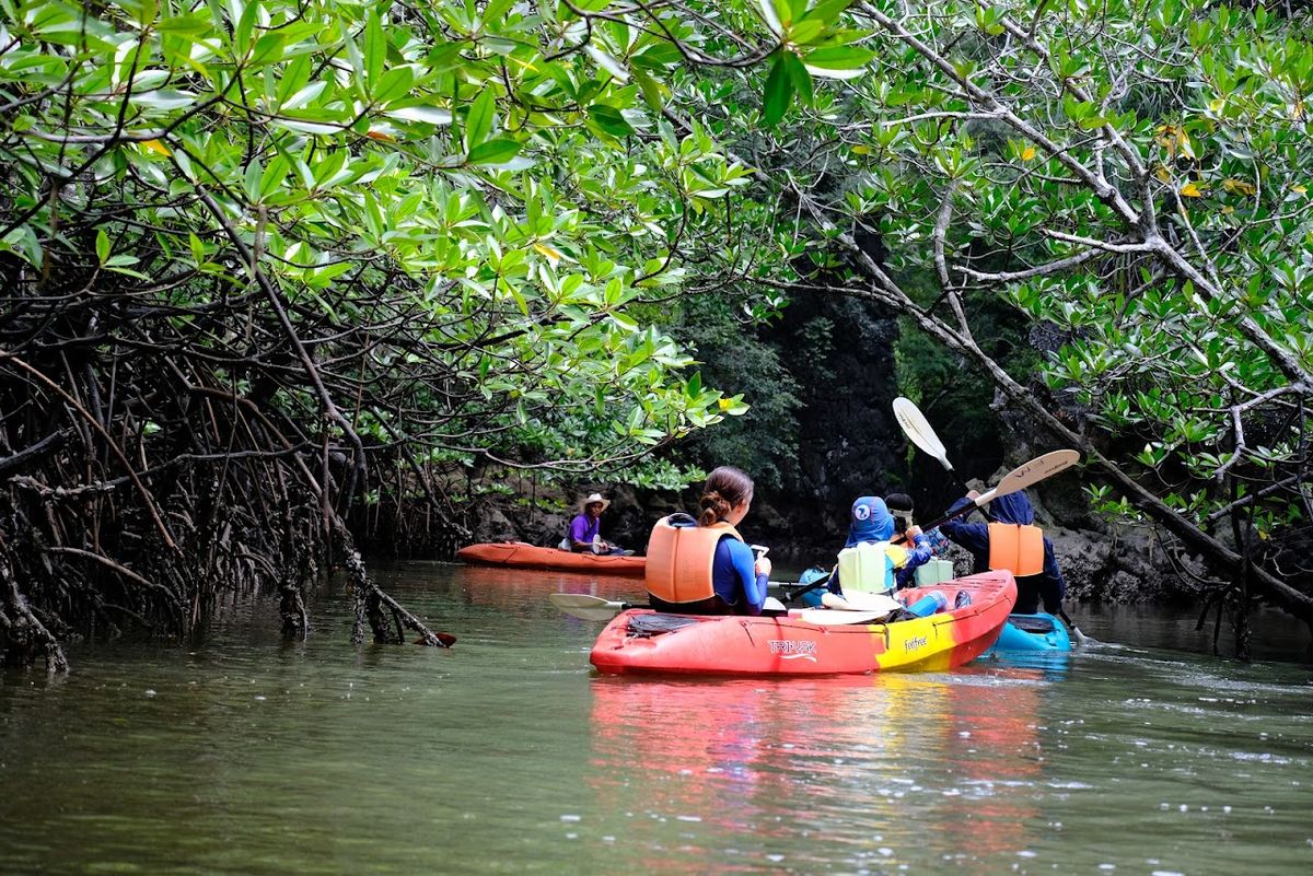 Ao Thalane Kayak Krabi photo 3