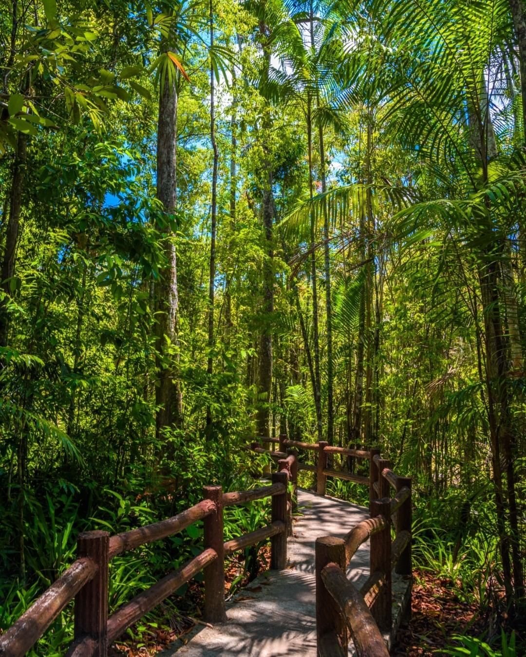 Blue Pool Krabi Thailand photo 4