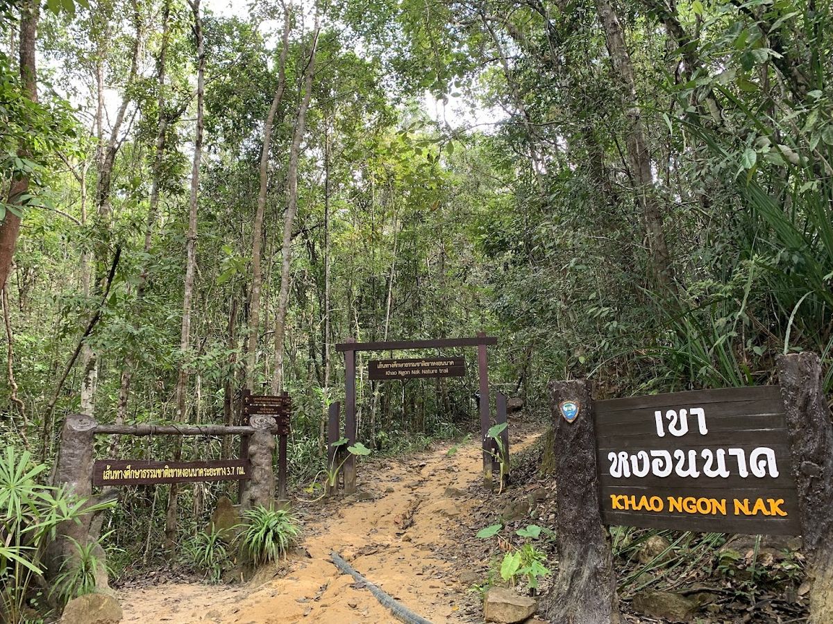 Dragon Crest Mountain photo 4