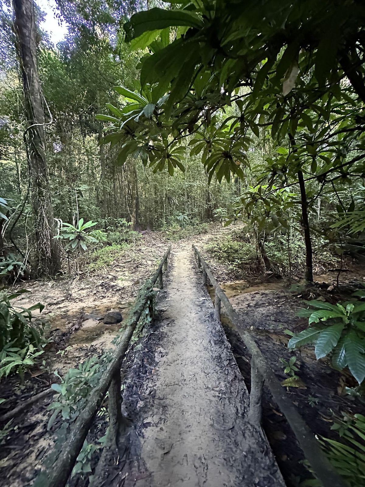 Dragon's Crest (Ngon Nak Nature Trail) photo 2