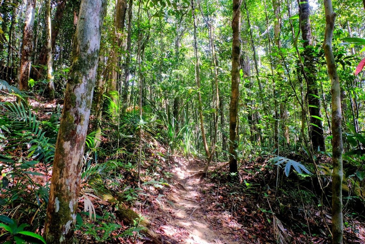Dragon's Crest (Ngon Nak Nature Trail) photo 4