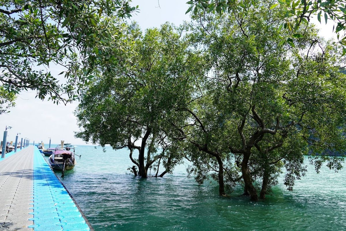 East Railay Bay Beach photo 4