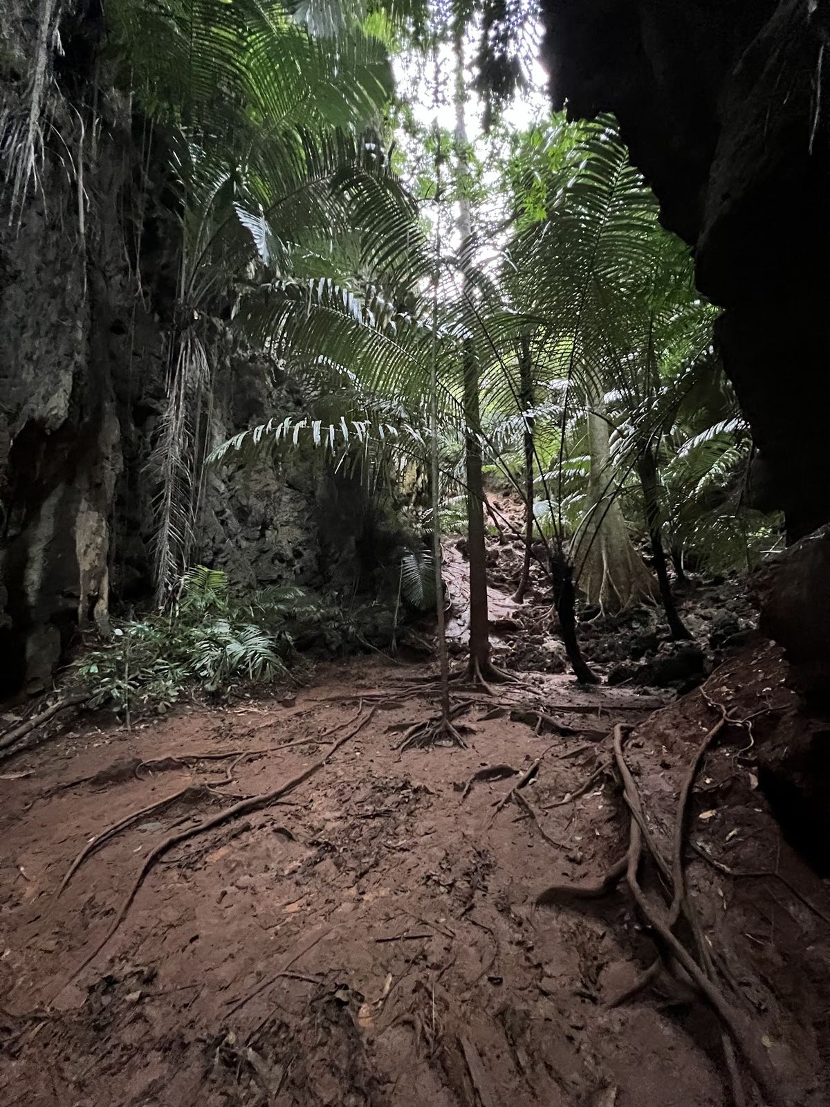 East Railay Viewpoint photo 4
