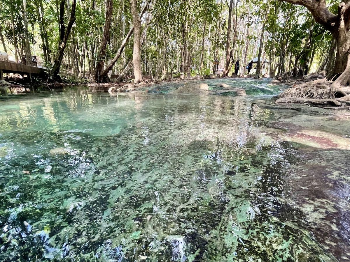 Emerald Pool photo 3