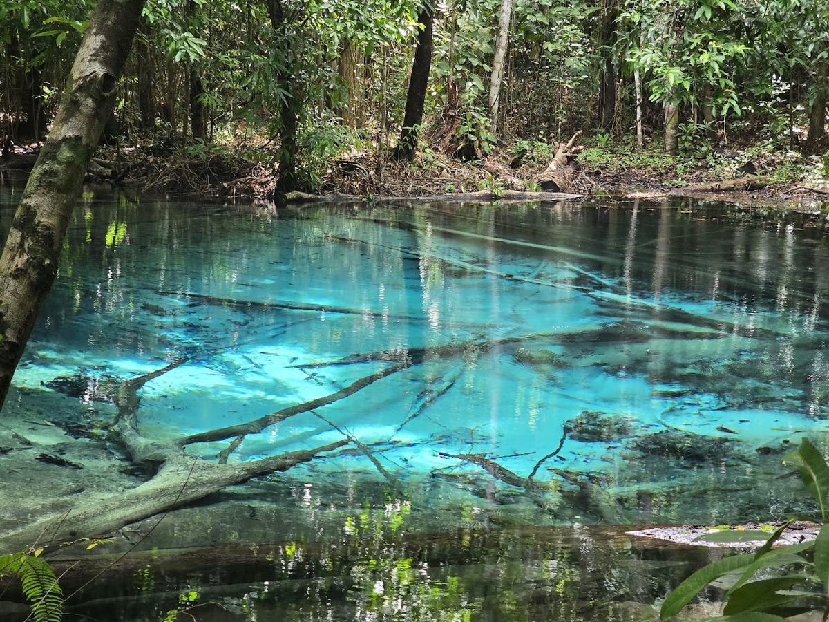Emerald Pool, Krabi