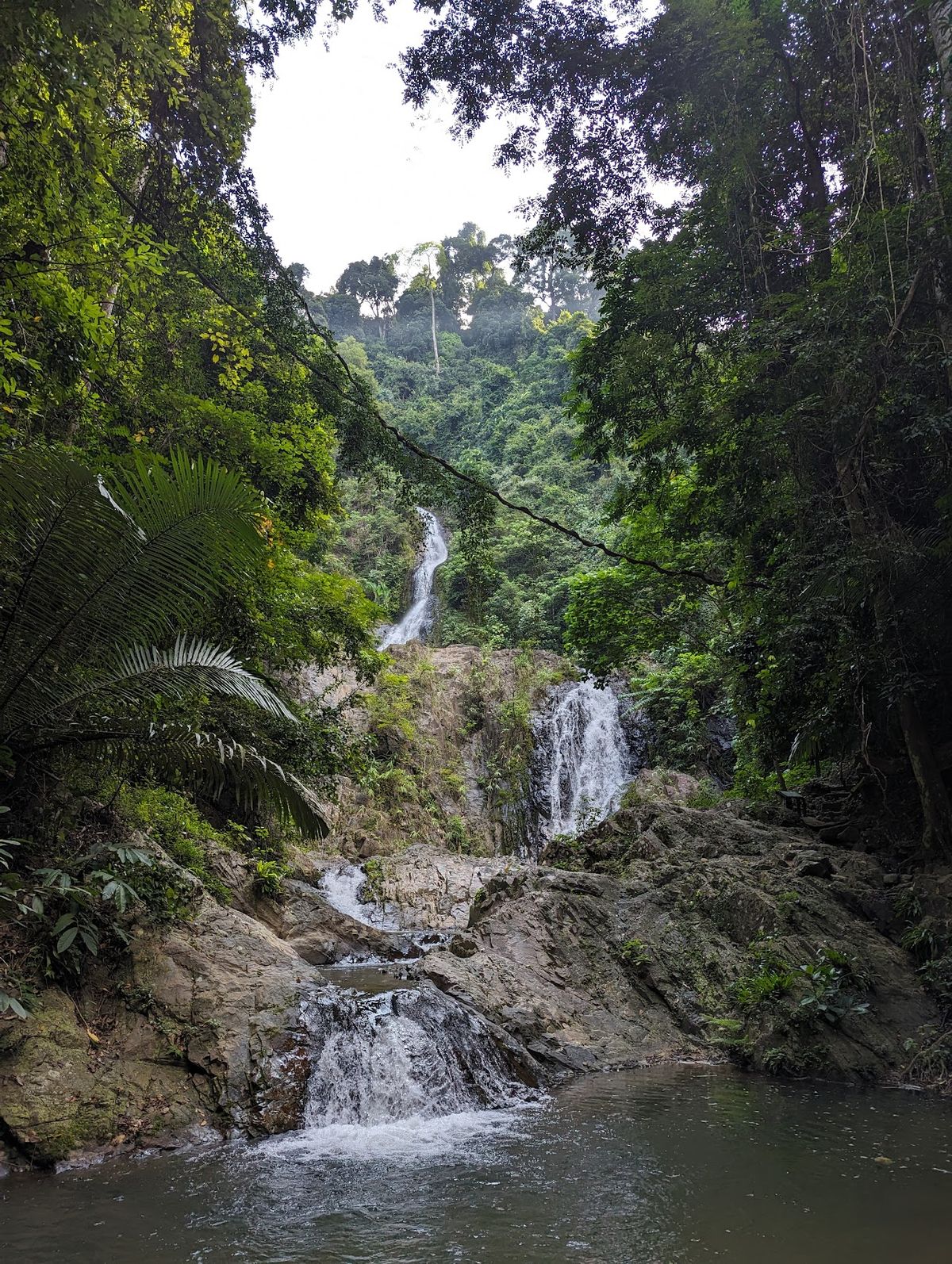 Khao Phanom Bencha National Park photo 2