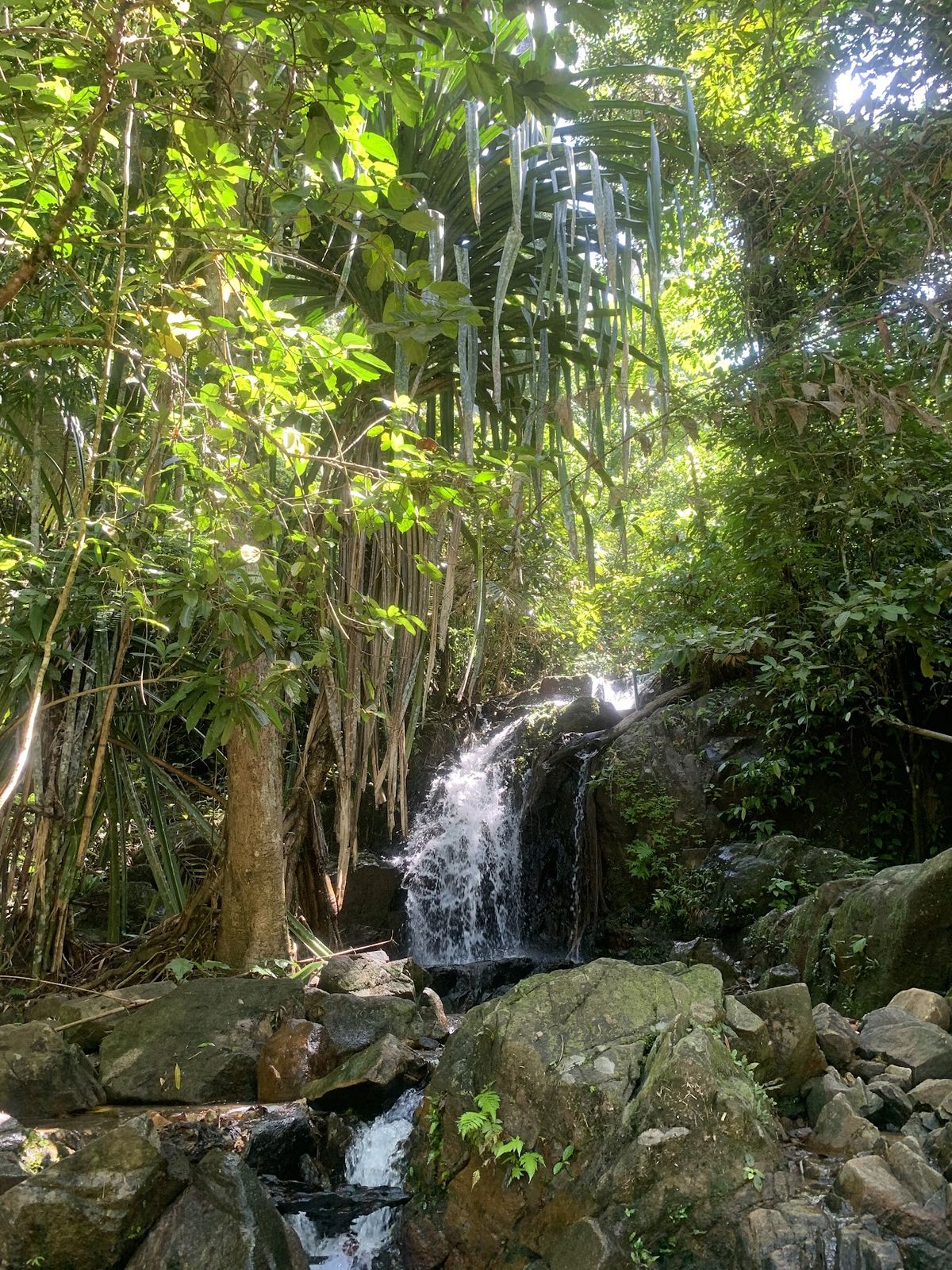Khao Phra Thaeo Non-Hunting Area, Krabi