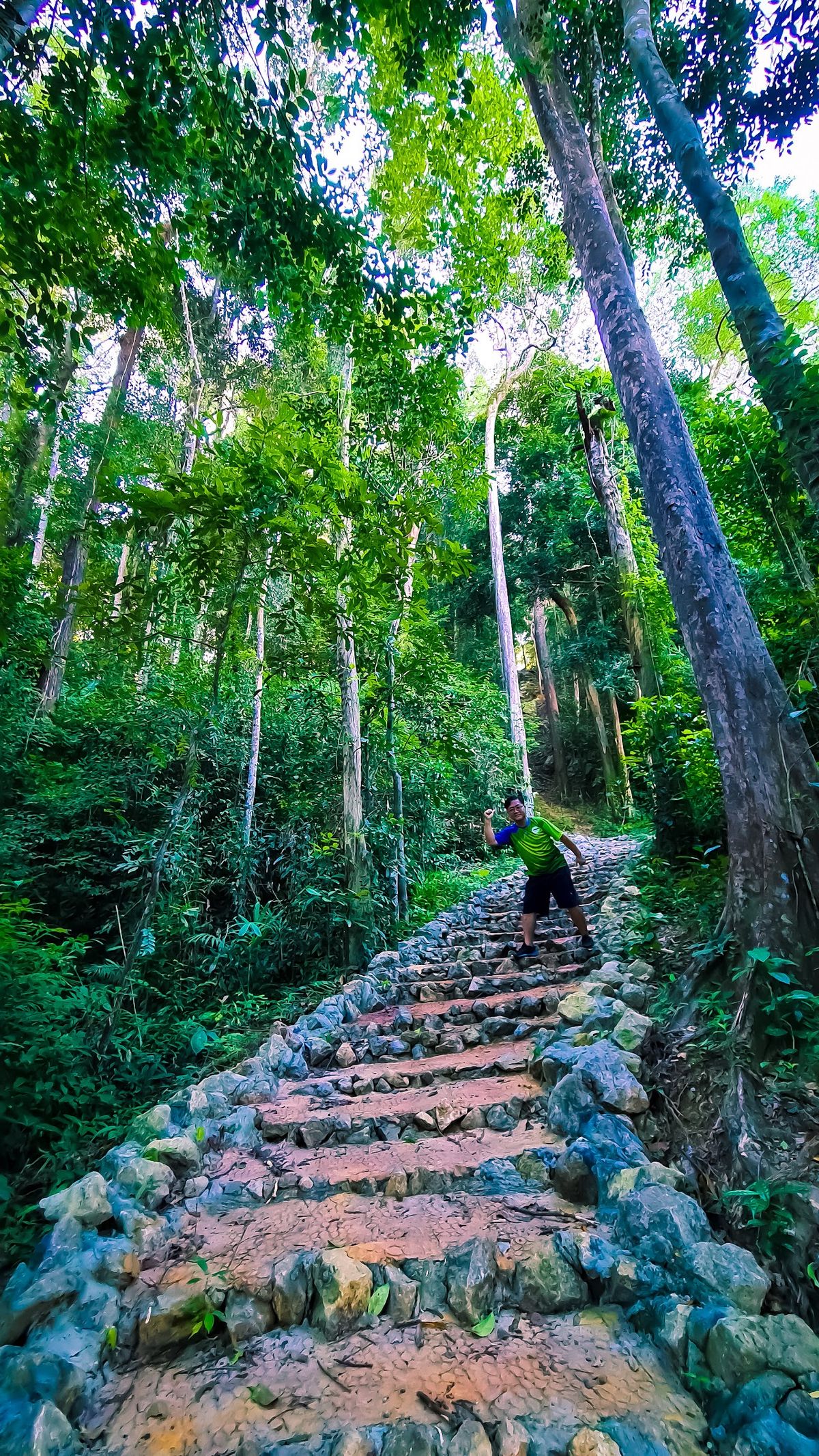 Khao Tham Suea Pahksa Sawan Krabi Urban Forest photo 2