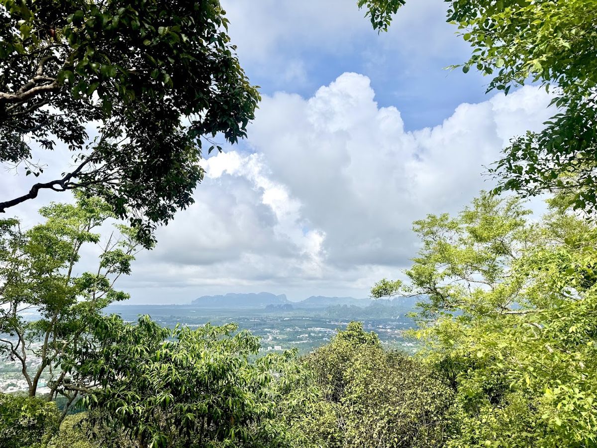 Khao Tham Suea Pahksa Sawan Krabi Urban Forest photo 3