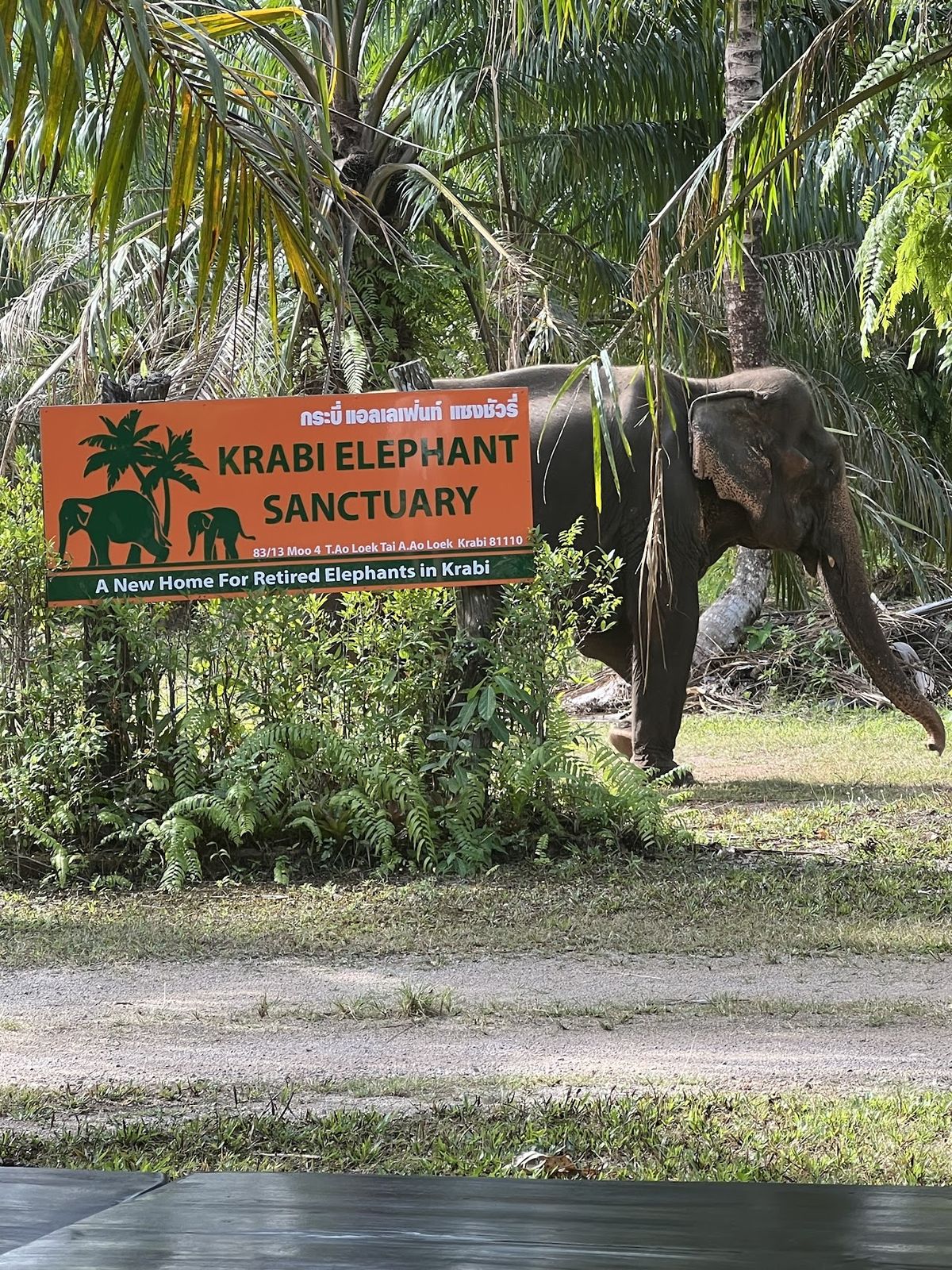 Krabi Elephant Sanctuary (Book Only) photo 4