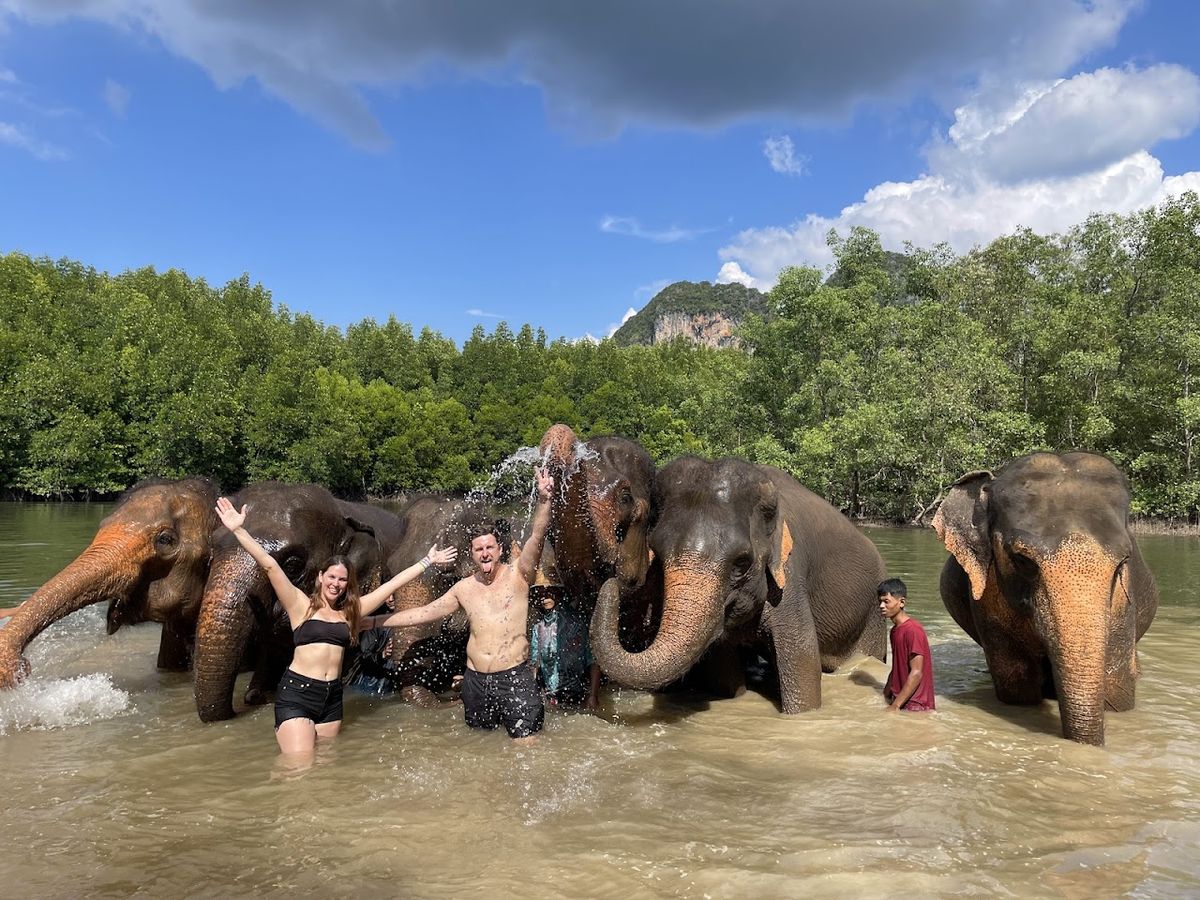 Krabi Elephant Shelter photo 2