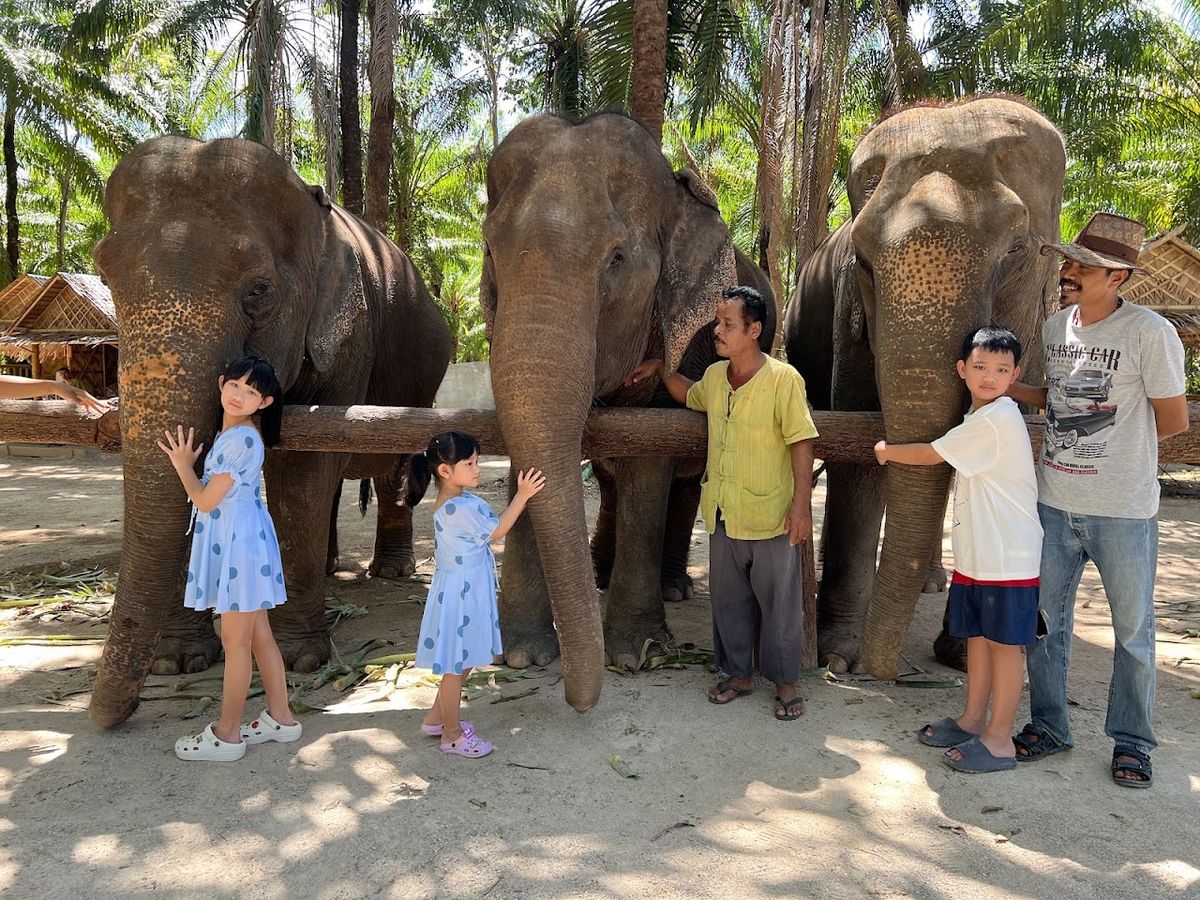 Krabi Elephant Shelter, Krabi