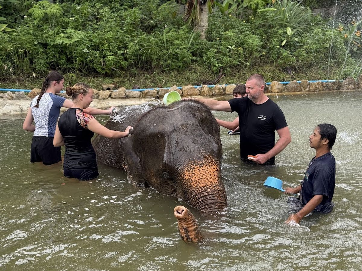 Krabi Old Elephant HOME photo 3
