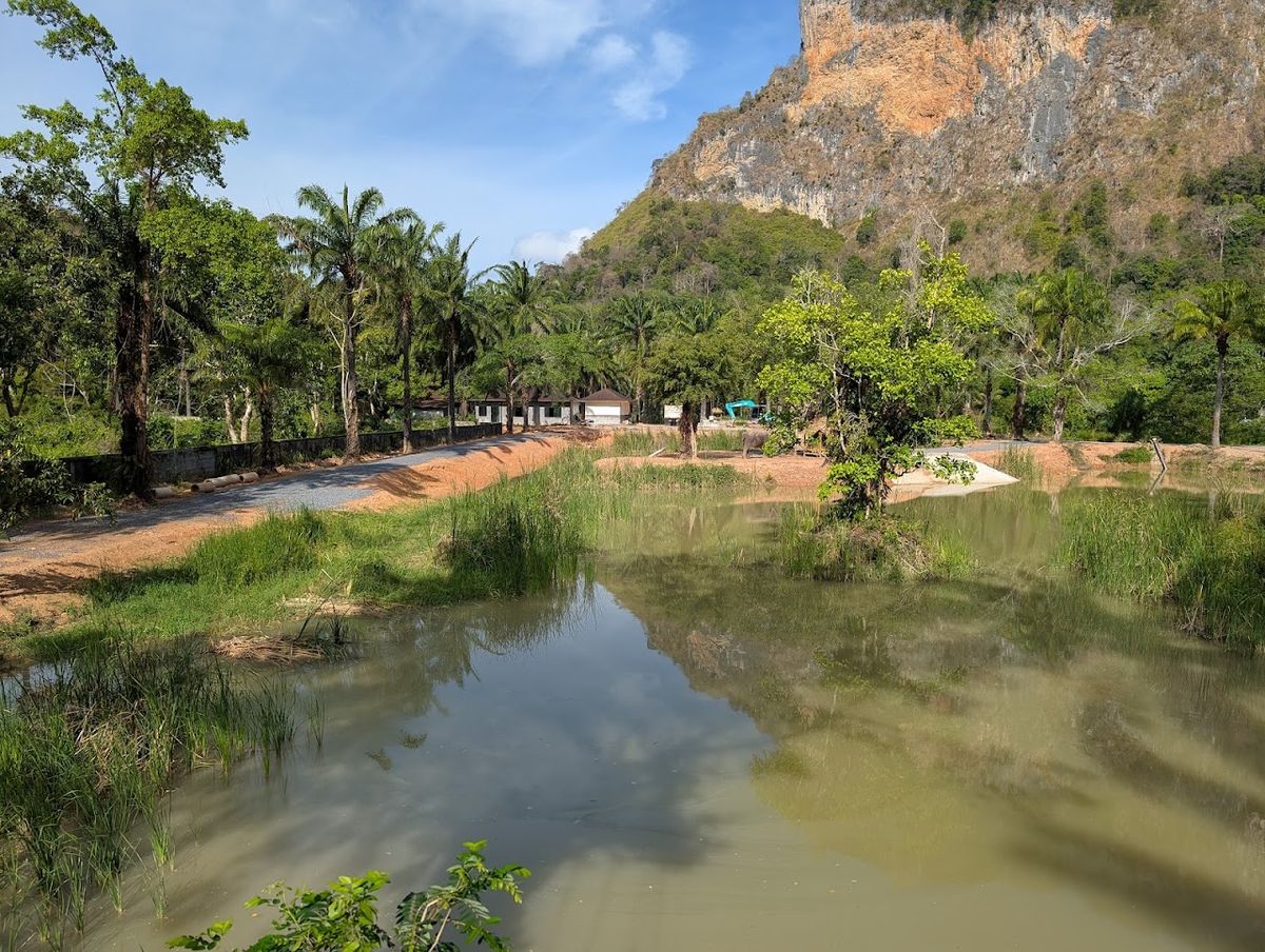 Krabi Roaming Elephant Sanctuary photo 3