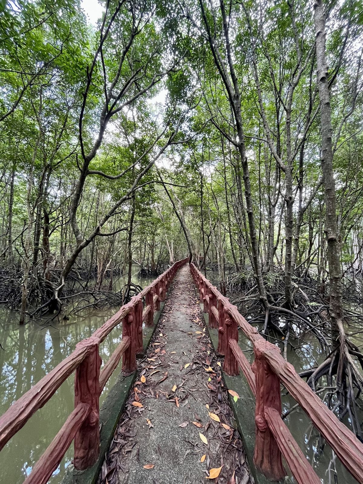 Krabi Urban Forest photo 2