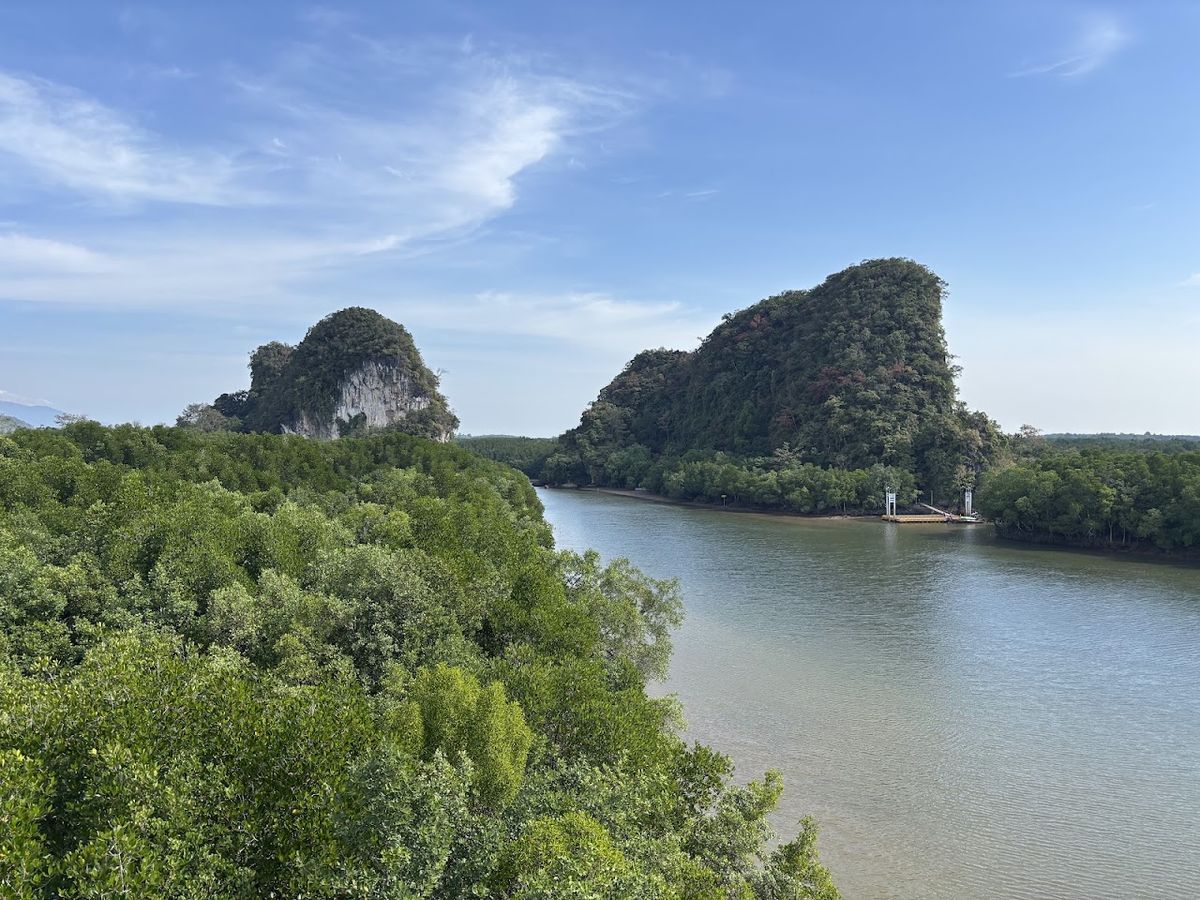 Krabi Mangrove Forest Conservation Centre photo 4