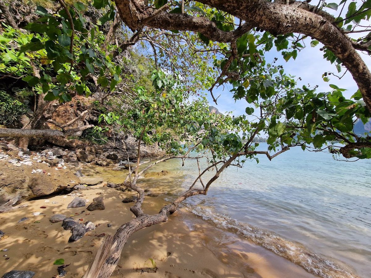 Minao's Beach photo 2