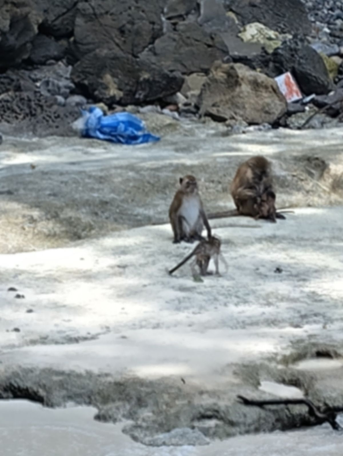 Monkey Bay photo 3