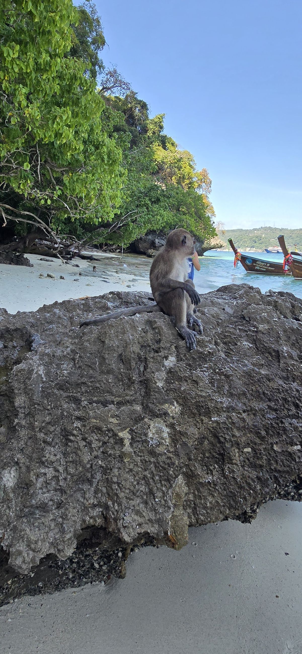 Monkey Bay photo 4