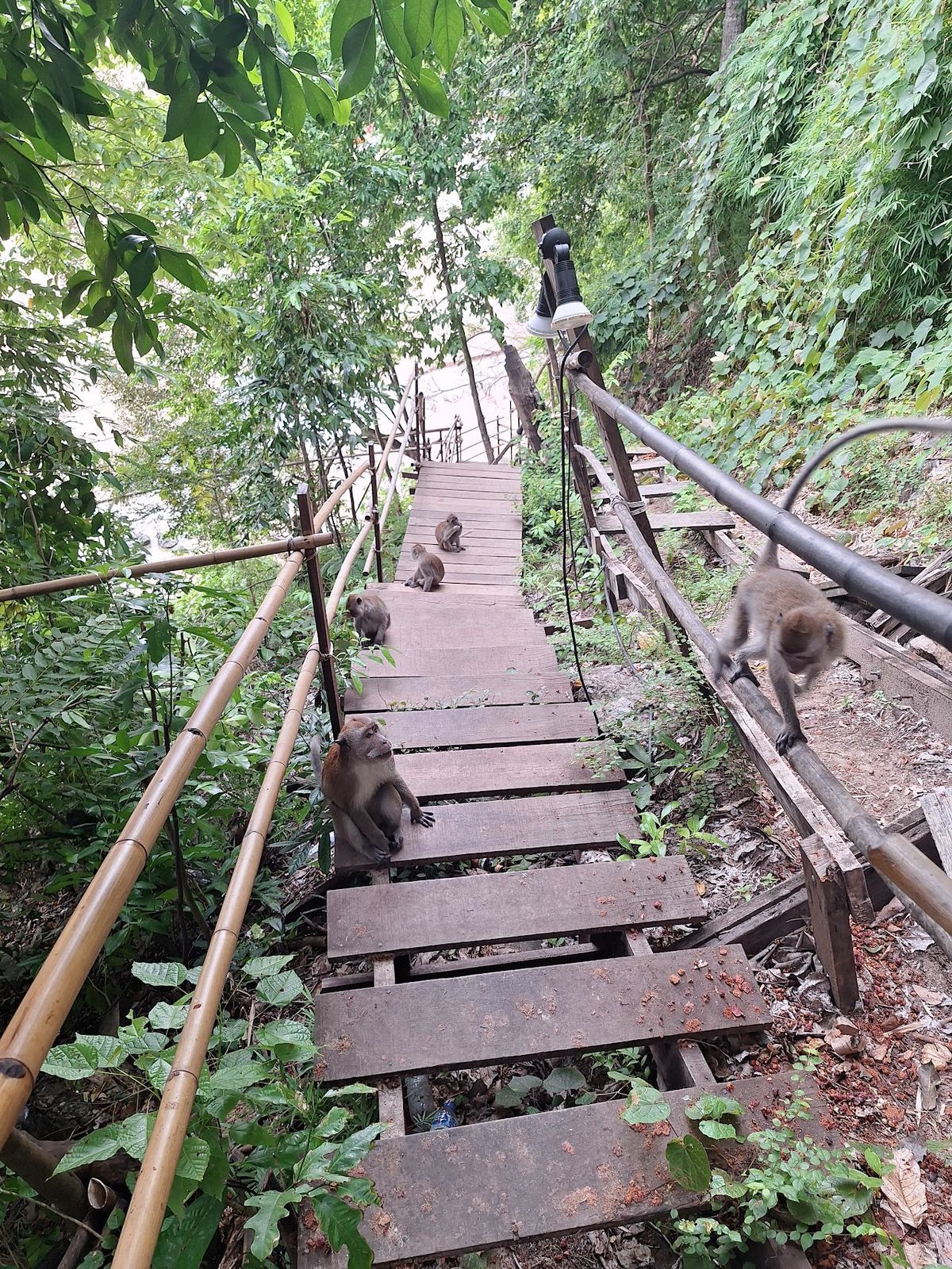 Monkey Trail, Ao Nang, Krabi