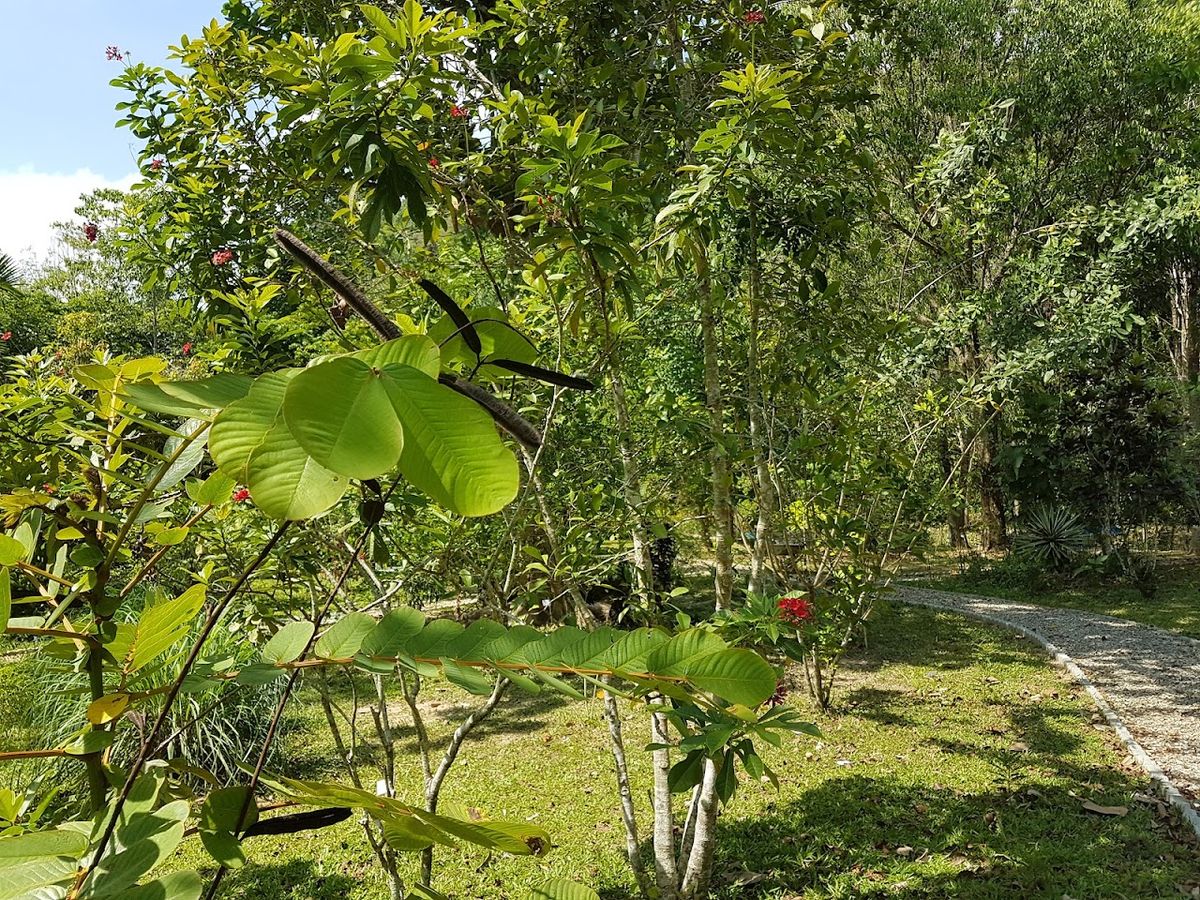Natin Spicy Garden photo 2