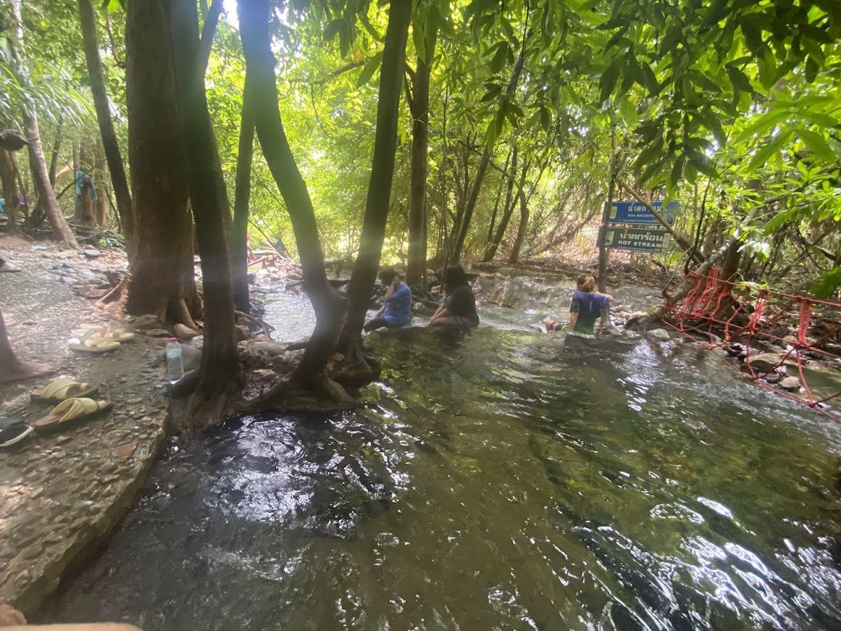 Saline Hot Spring Khlong Thom, Krabi