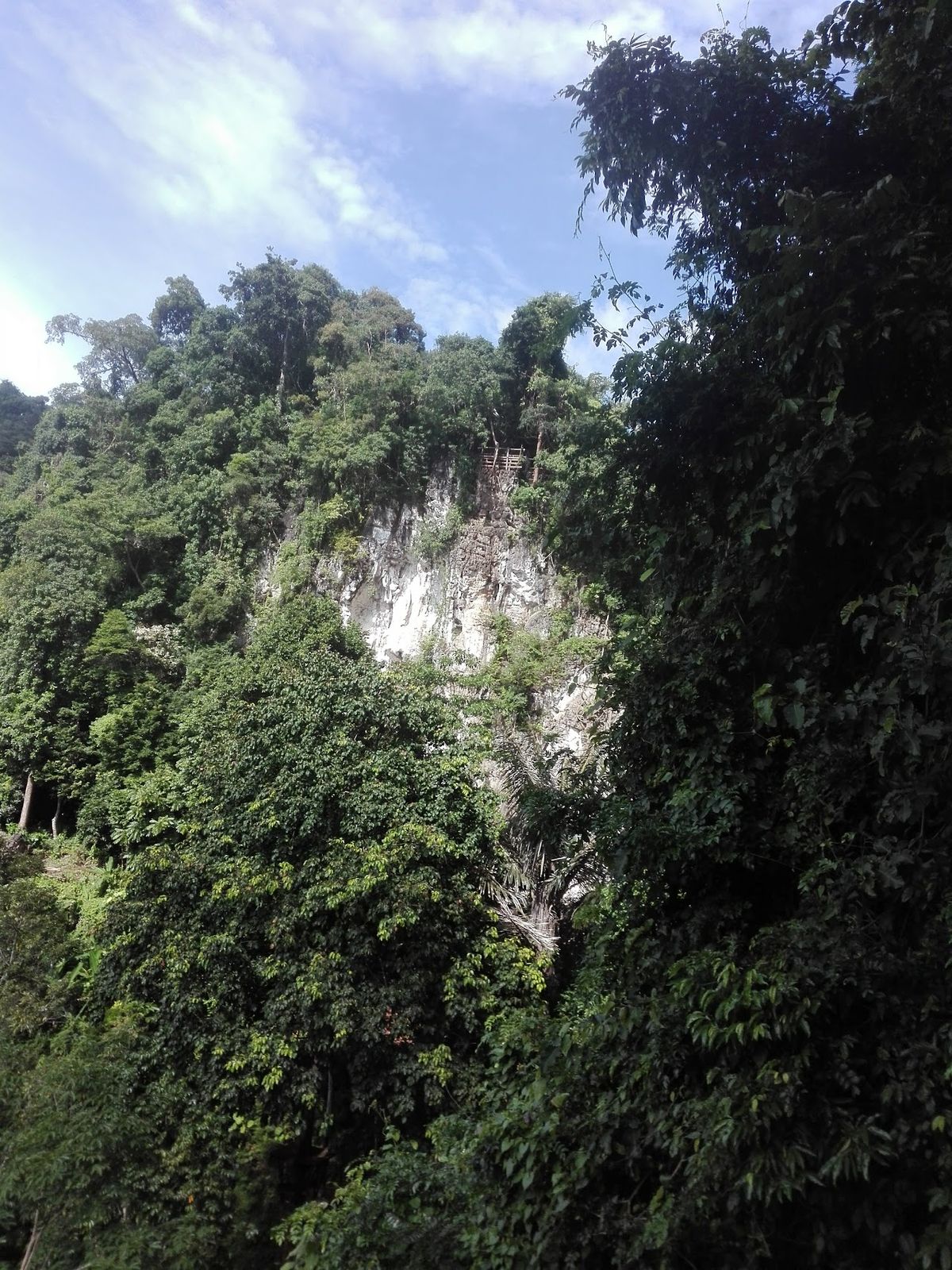 THAI'D UP ADVENTURES photo 3