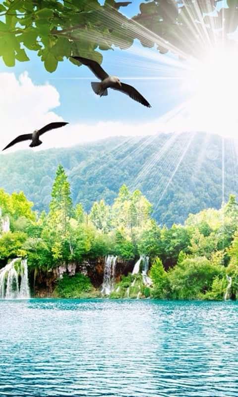 Than Bok Khorani National Park photo 4