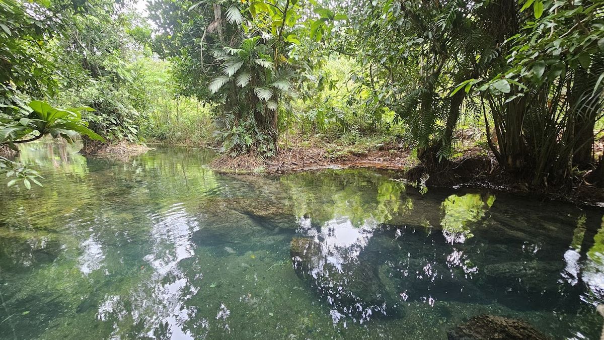 Thankiri Kamnan Park - Krabi photo 3
