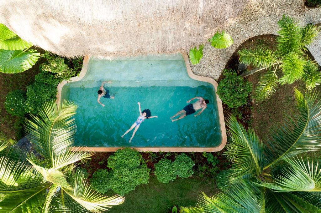 ALOE Ecological Boutique Villas — photo 5