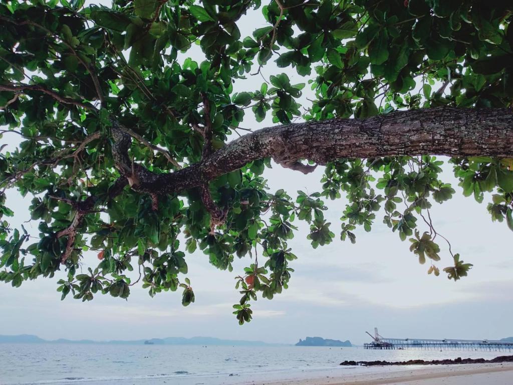 Mukrada House Boutique Hometel Krabi — photo 5