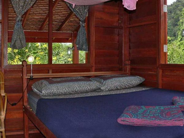 Phanom Bencha Mountain Resort pool and grounds in Klong Muang